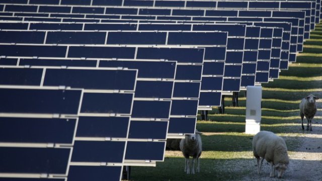 <p>
	<em>Снимка: Ройтерс</em></p>
