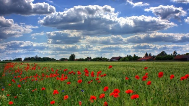 <p>
	<em>Снимка: Pixabay</em></p>
