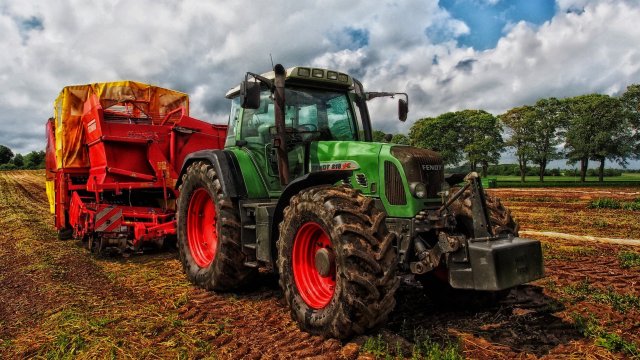 Снимка: Pixabay