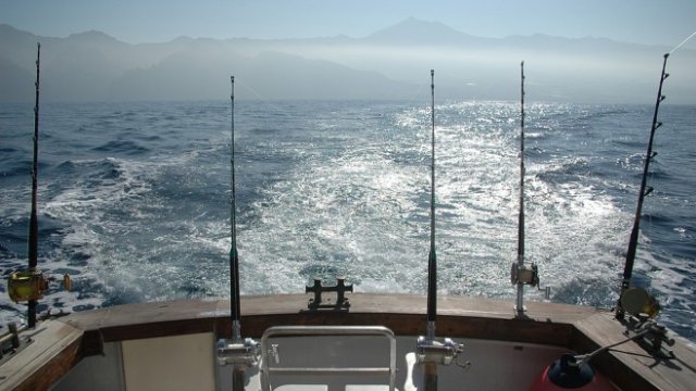 <p>
	<em>Снимка: Pixabay</em></p>
