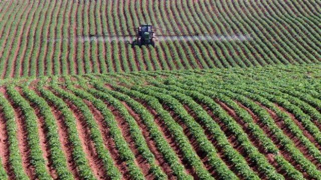 <p>
	Снимка:<em> Архив, Ройтерс</em></p>
