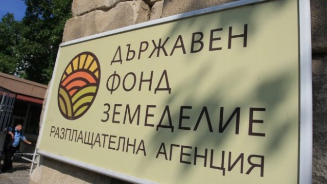 <p>
	<em>Снимка: БГНЕС</em></p>
