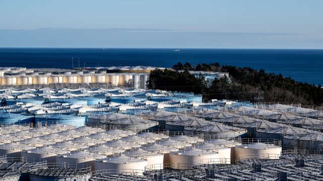 Снимка: Bloomberg L.P.