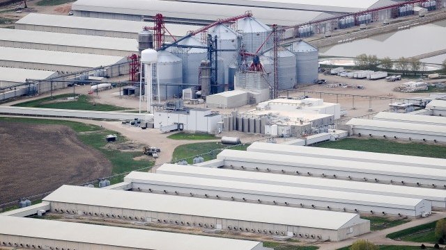 <p>
	В тази фабрика за яйца в Айова също е открит вирусът на грипа. <em>Снимка: Ройтерс</em></p>
