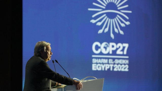 Снимка: Islam Safwat/Bloomberg