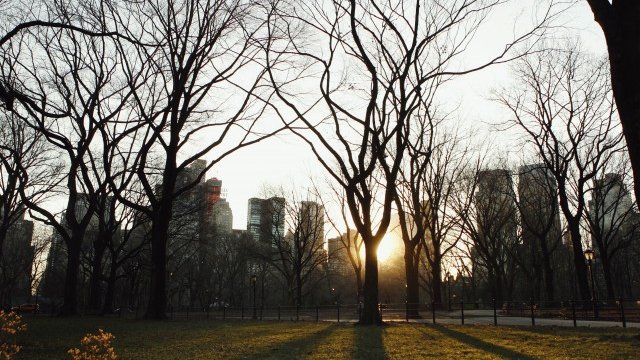 Ню Йорк подобри рекорда за най-скъп апартамент