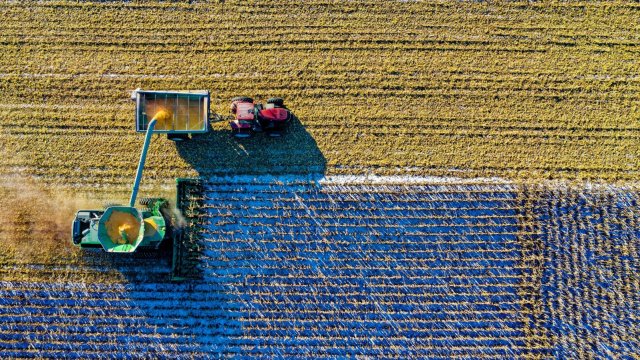 Снимка: Pexels