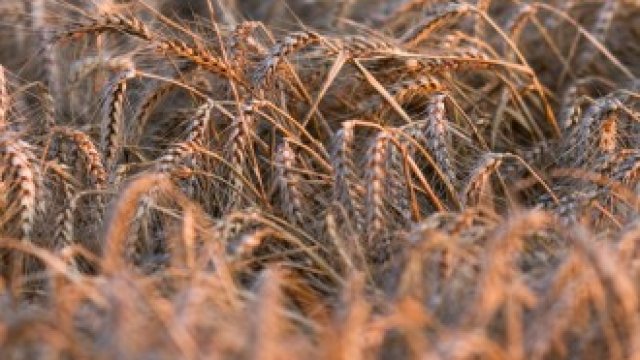 <p>
	Снимка: Chris Ratcliffe/Bloomberg</p>
