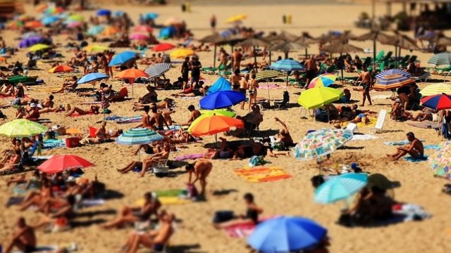 <p>
	<em>Снимка: Pixabay</em></p>
