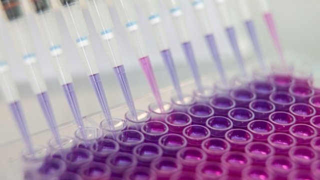 <p>
	<em>Снимка: Akos Stiller Bloomberg</em></p>
