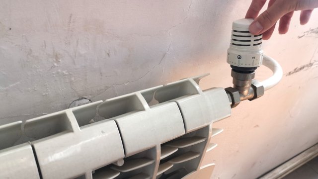 Снимка: БГНЕС/МИХАЕЛА КАТЕРИНСКА