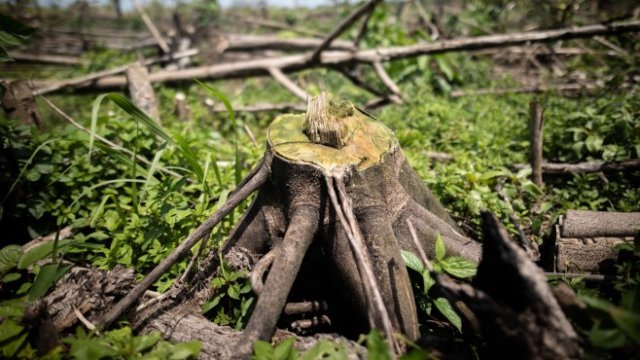 <p>
	<em>Снимка:&nbsp;Ivan Valencia/Bloomberg</em></p>
