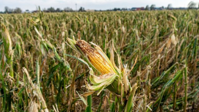 Снимка: Bloomberg L.P.