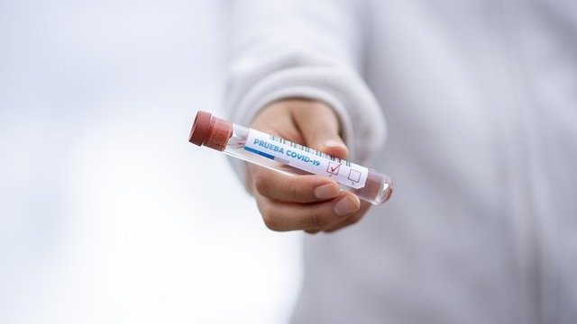 <p>
	<em>Снимка: Pixabay</em></p>
