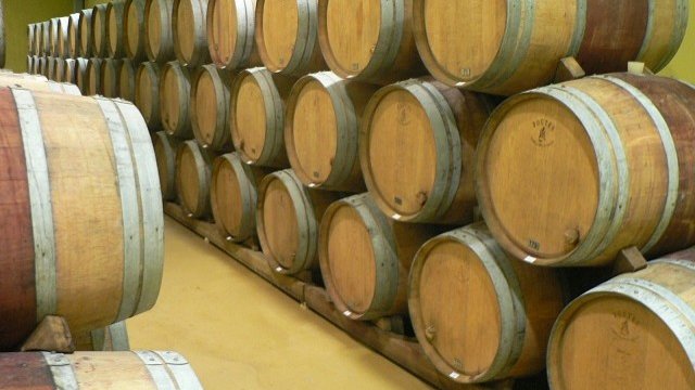 <p>
	<em>Снимки: Investor.bg</em></p>
