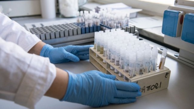 <p>
	<em>Снимка: Getty</em></p>
