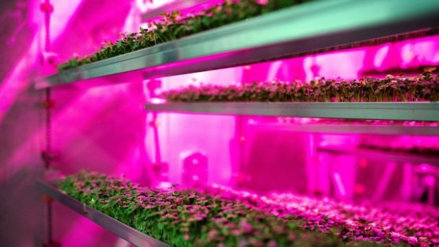 <p>
	<em>Снимка: Bloomberg</em></p>
