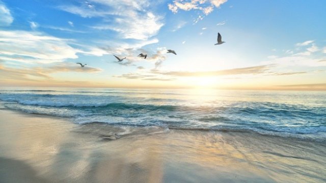 <p>
	<em>Снимка: Pixabay</em></p>
