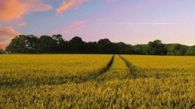 <p>
	<em>Снимка: Pixabay.com</em></p>
