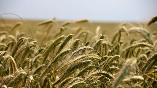 <p>
	Снимка: Pixabay</p>
