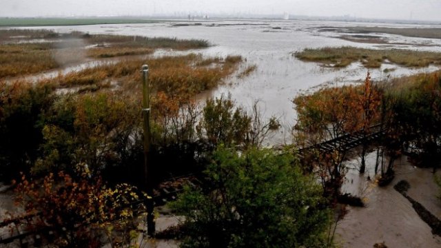 <p>
	Проливните дъждове на места достигнаха 150 литра на квадратен метър в общините Бургас и Камено наводниха големи площи. <em><span lang="bg-BG">Снимка: БТА</span></em></p>
