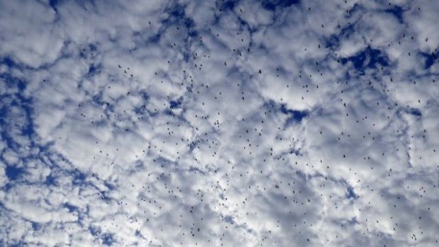 <p>
	<em>Снимка: Pixabay</em></p>
