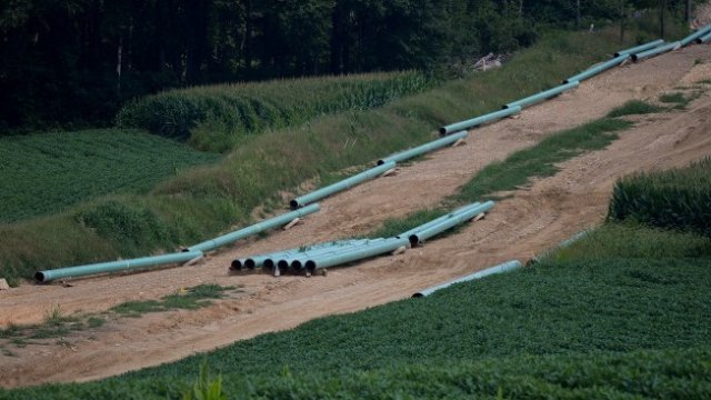 <p>
	<em>Снимка: Ройтерс</em></p>
