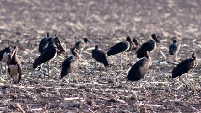 <p>
	<em>Снимка: БТА</em></p>
