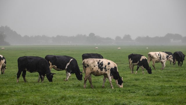 Снимка: Bloomberg L.P.