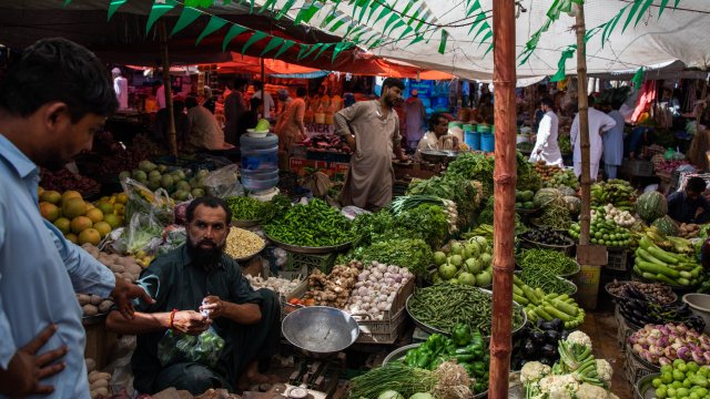 Снимка: Bloomberg L.P.