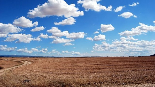 <p>
	<em>Снимка: Pixabay</em></p>
