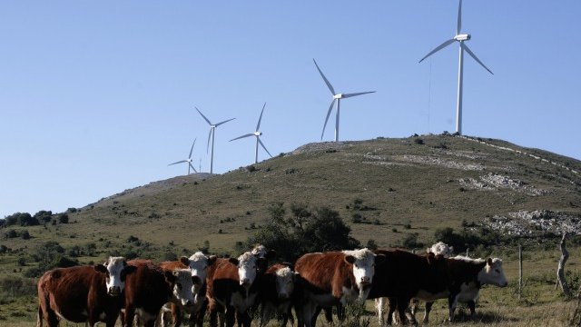 <p>
	<em>Снимка: архив Ройтерс</em></p>
