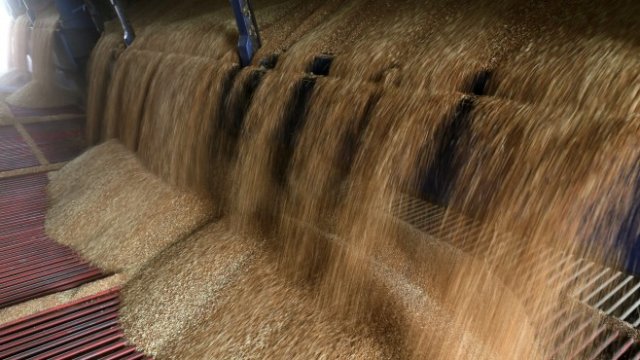 <p>
	<em>Снимка: Bloomberg LP</em></p>
