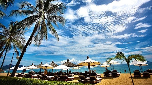 <p>
	<em>Снимка: Pixabay</em></p>
