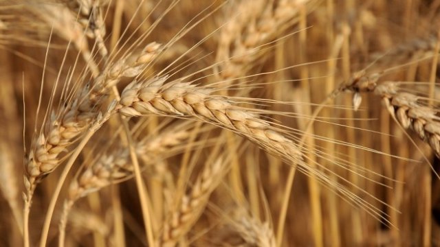 <p>
	<em>Снимка: БТА</em></p>
