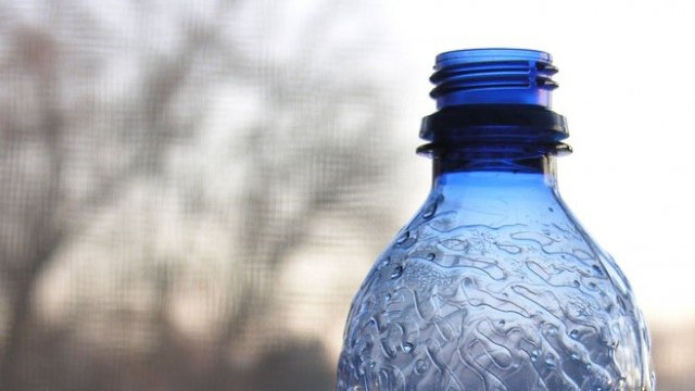 <p>
	<em>Снимка: Freeimages</em></p>
