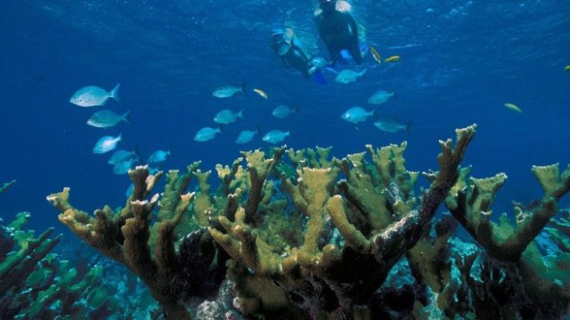 <p>
	Снимка: Pixabay</p>
