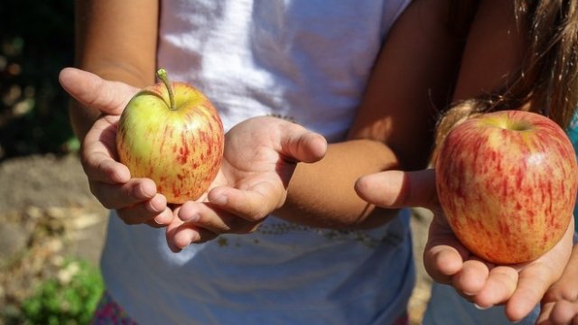 <p>
	<em>Снимка: Pixabay</em></p>
