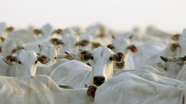 <p>
	<em>Снимка: Ройтерс</em></p>
