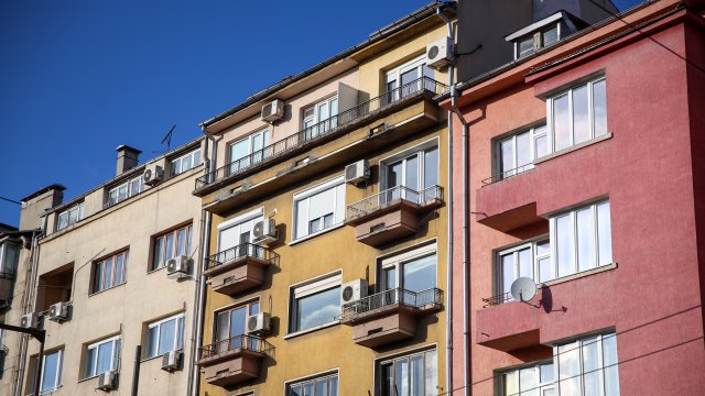 Снимка: Надежда Пеева, БГНЕС