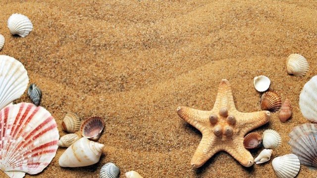 <p>
	<em>Снимка: Pixabay</em></p>
