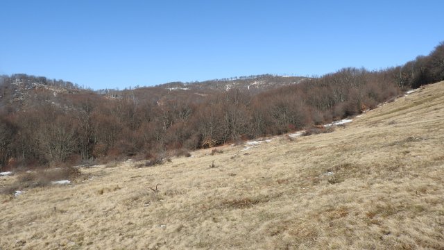 Снимка: Investor.bg