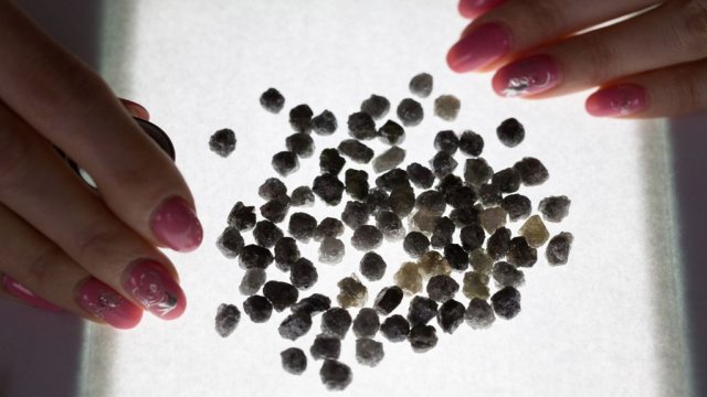 Снимка: Andrey Rudakov, Bloomberg