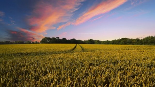 <p>
	<em font-size:="" pt="" style="color: rgb(102, 102, 102); font-family: ">Снимка: Pixabay</em></p>
