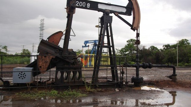 <p>
	<em>Снимка: Ройтерс</em></p>
