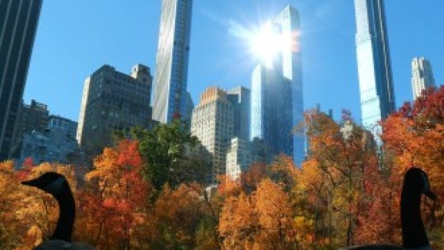 <p>
	<em>Снимка: Bloomberg LP</em></p>
