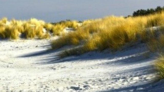 <p>
	<em>Снимка: Pixabay.com</em></p>
