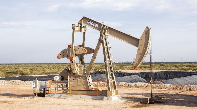 Снимка: Pixabay