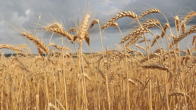 <p>
	<em>Снимка: БТА</em></p>
