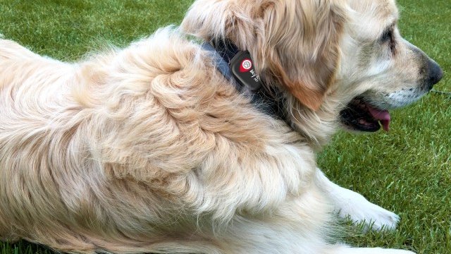 <p>
	<em>Снимка:&nbsp;Алтерко&nbsp;</em></p>
